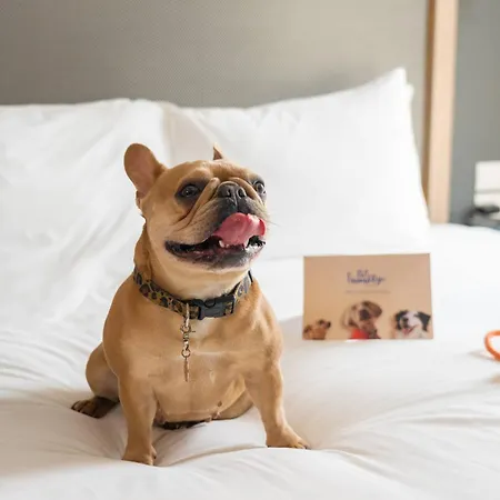 Innside By Melia Paris Charles De Gaulle Otel 4*
