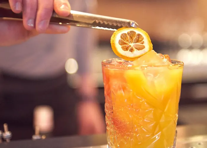 Hotel Innside By Meliá Paris Charles De Gaulle Airport 4*